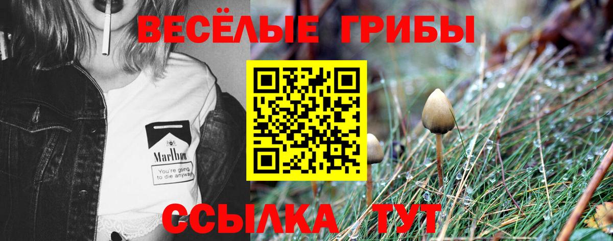 Псилоцибиновые грибы Magic Shrooms Биробиджан